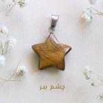 پلاک ستاره - تصویر 5